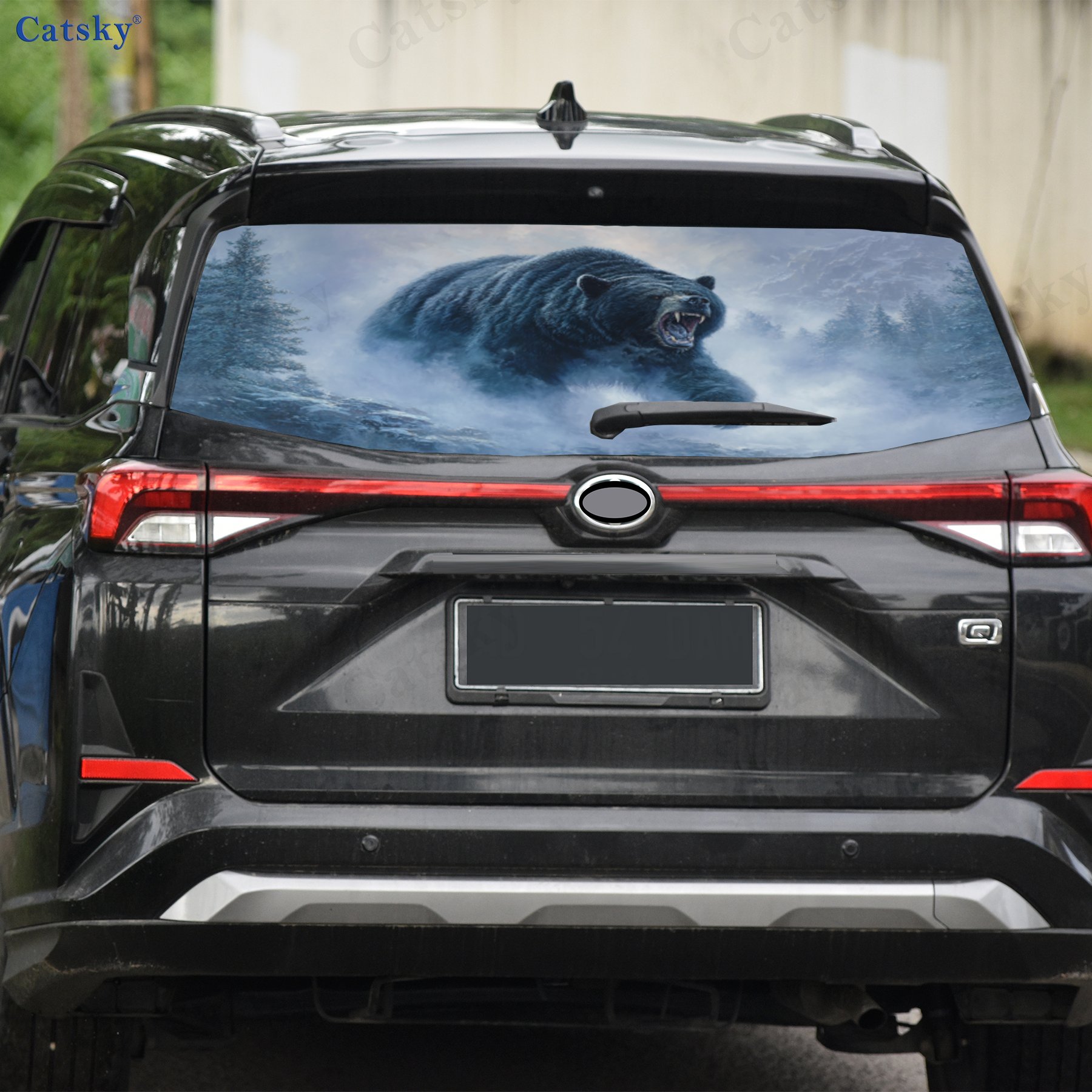 Outdoor Adventure Angry Bear P - Outdoor Adventure Films 评论和价格