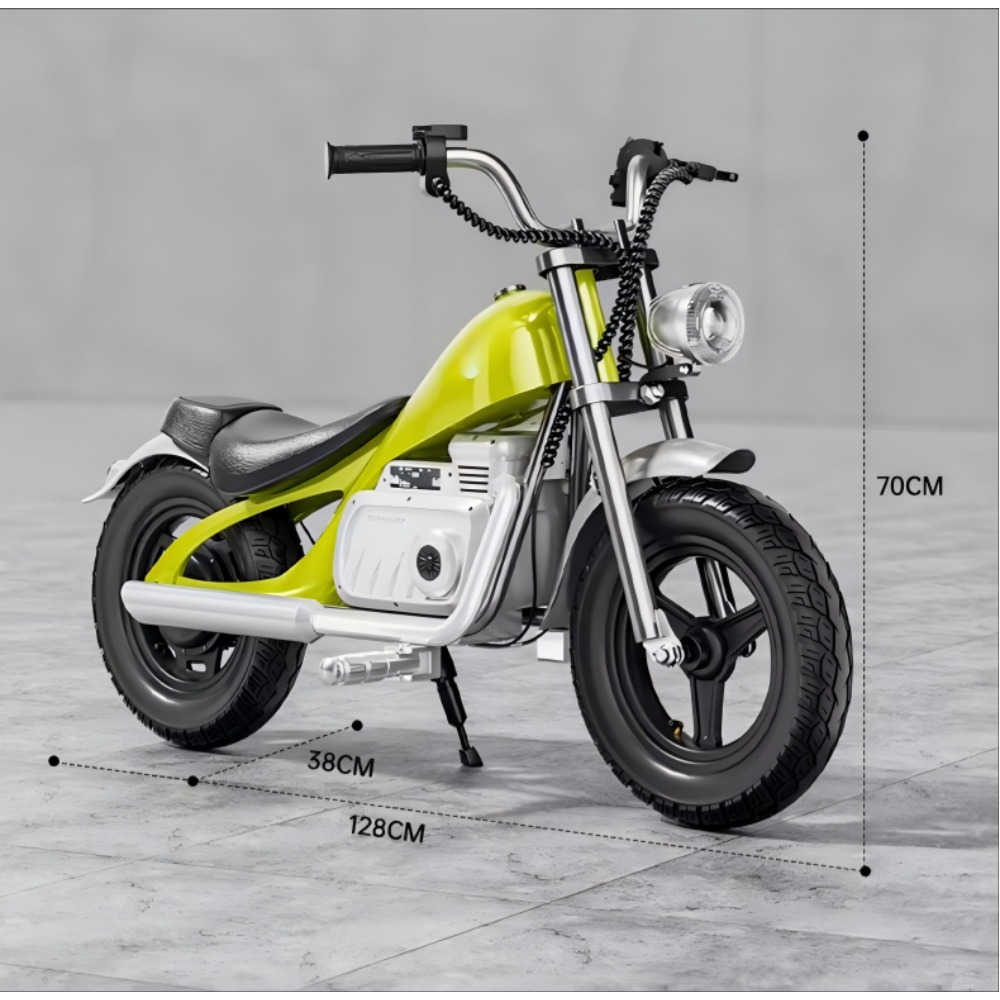 48V Electric Dirt Bike for Kid - Outdoor Youth Adventure 评论和价格